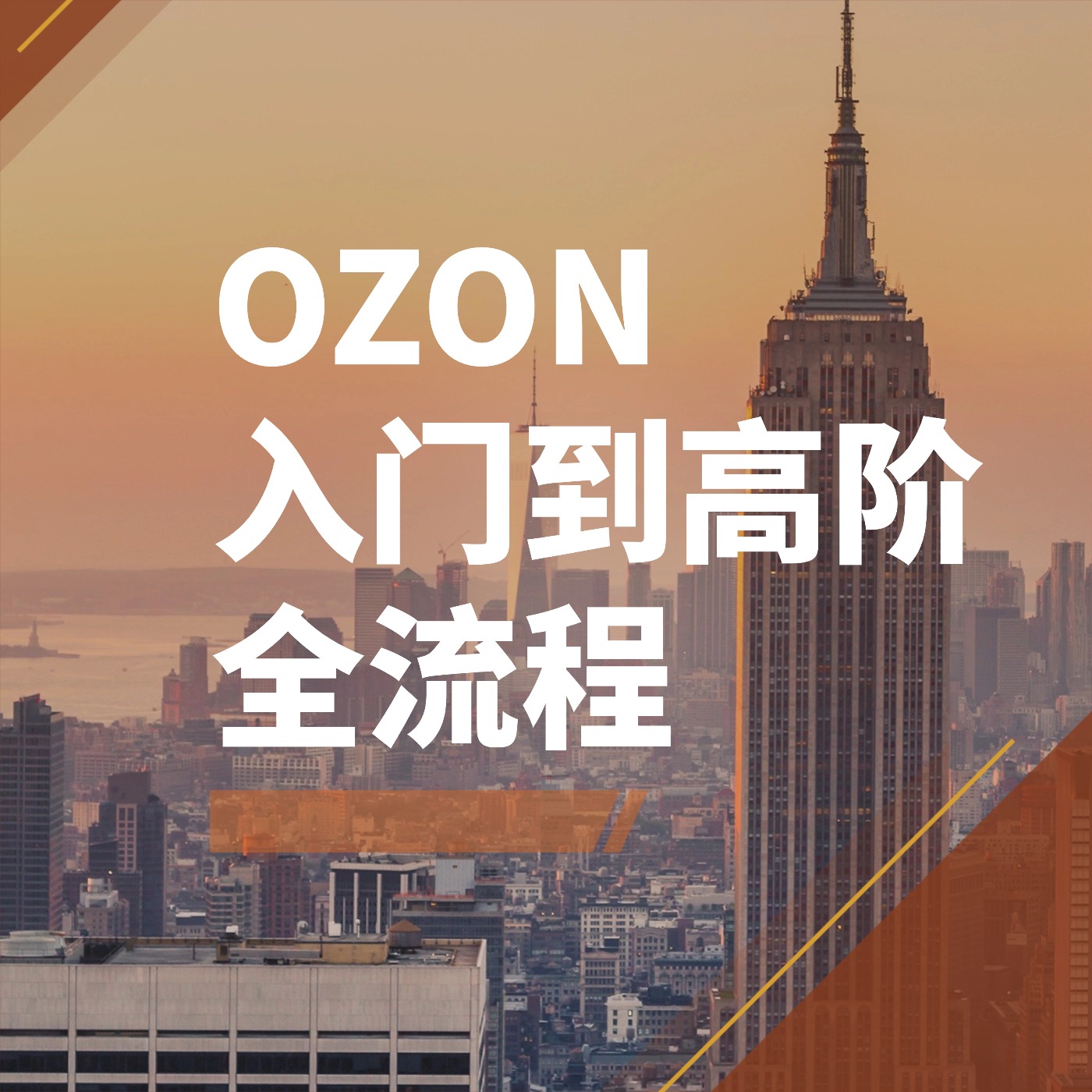 OZON 入门到高阶 全流程